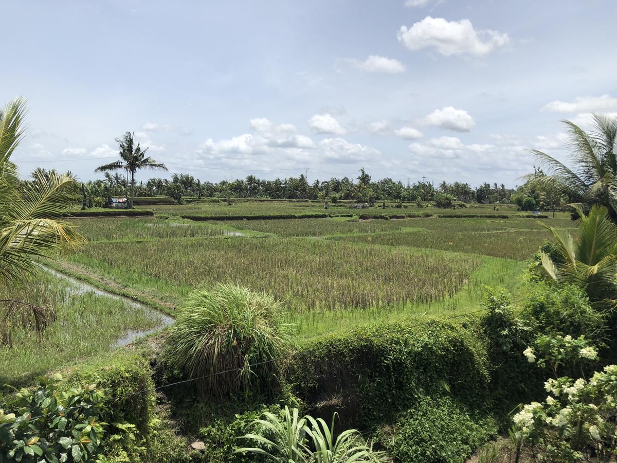 Hacco Capsule Hotel Ubud Zewnętrze zdjęcie